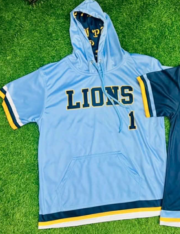 Lions Baseball Warm up jersey